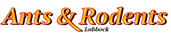 Lubbock Ant Exterminator & Rodent Control Company Logo